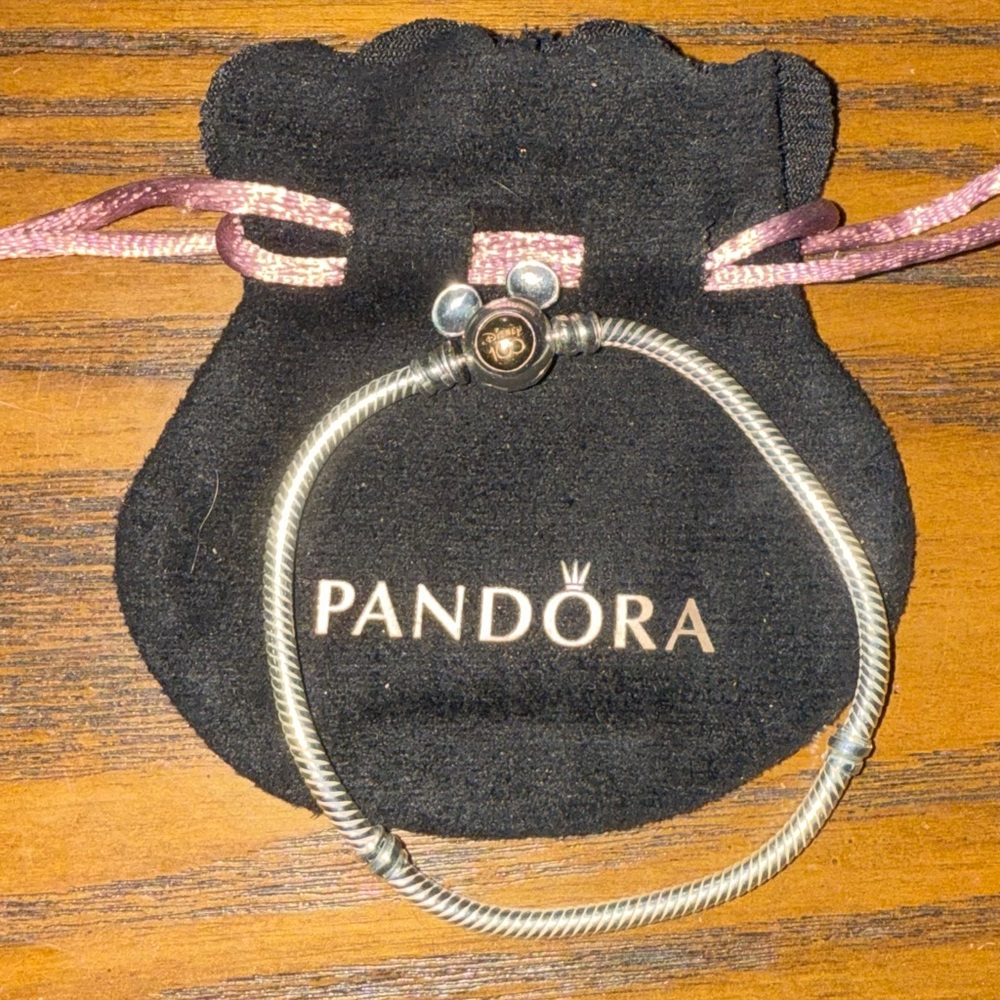 NWOT Disney100 Pandora Snakechain Charm Braclet